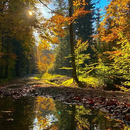 I W Zawoi Dorota Miśkowiec