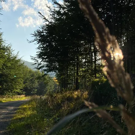 Gospodarstwo agroturystyczne I W Zawoi Dorota Miśkowiec