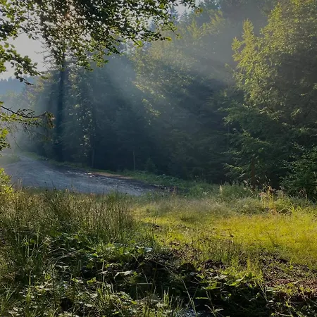 Gospodarstwo agroturystyczne I W Zawoi Dorota Miśkowiec Zawoja